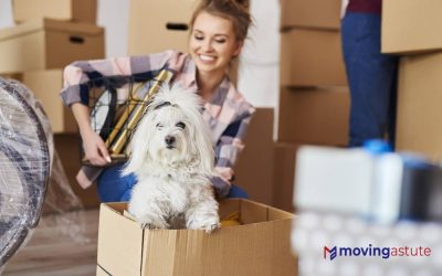 Moving with Pets – A Detailed Guide
