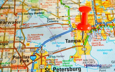 Top 10 Largest Cities in Florida