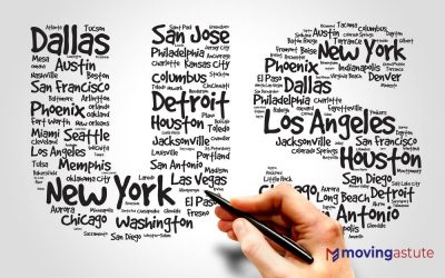 7 Largest U.S. Cities by Population