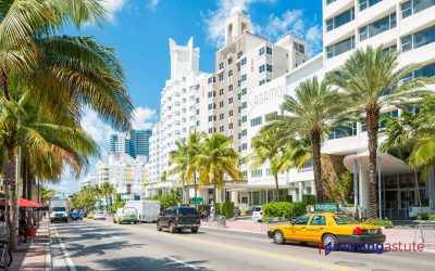 5 Best Moving Companies in Miami for 2024